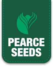 Pearce Seeds